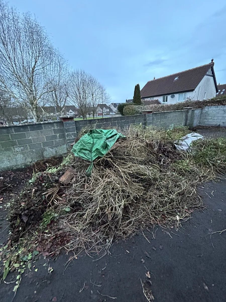 Garden decoration and maintenance - Image 2