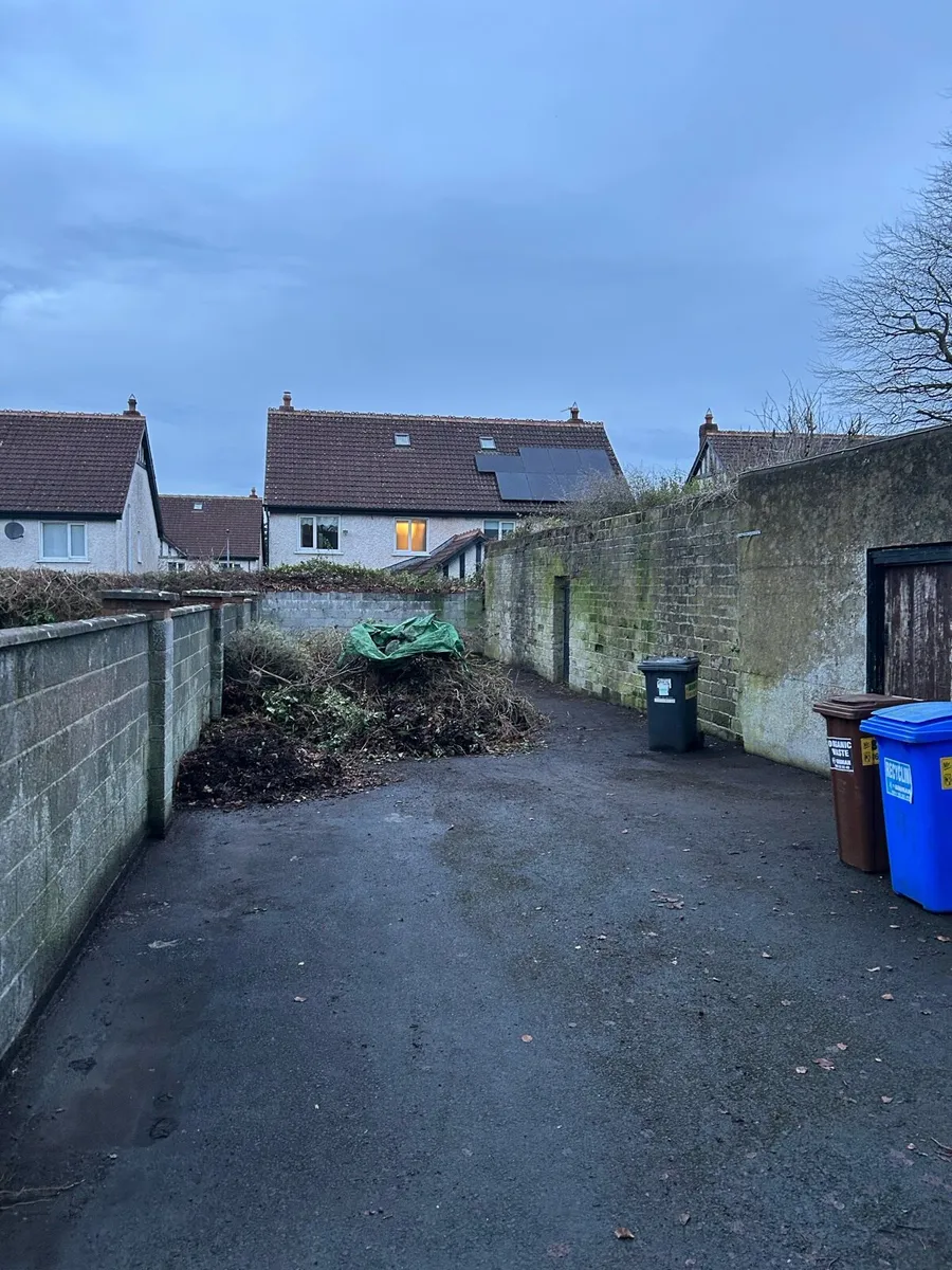 Garden decoration and maintenance - Image 3