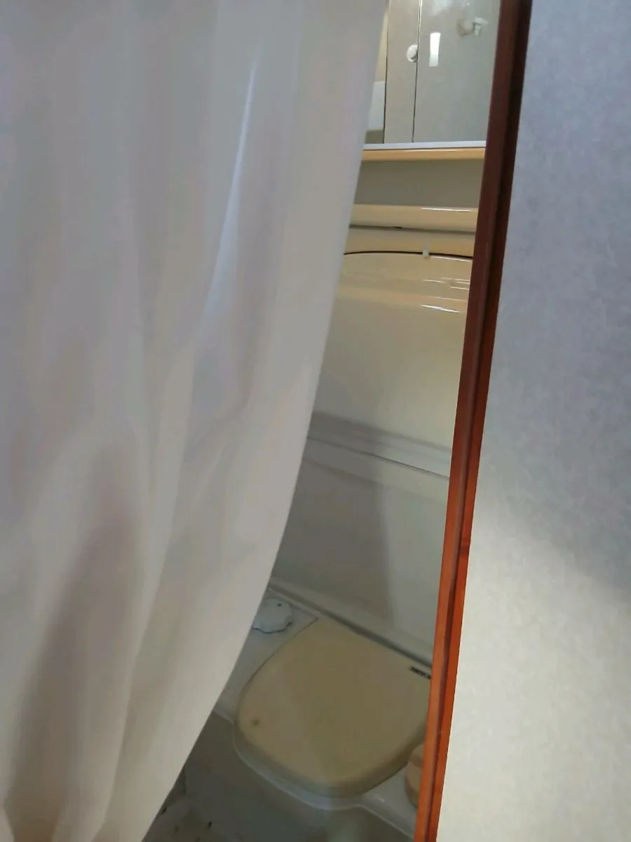 Horse Truck - Image 4