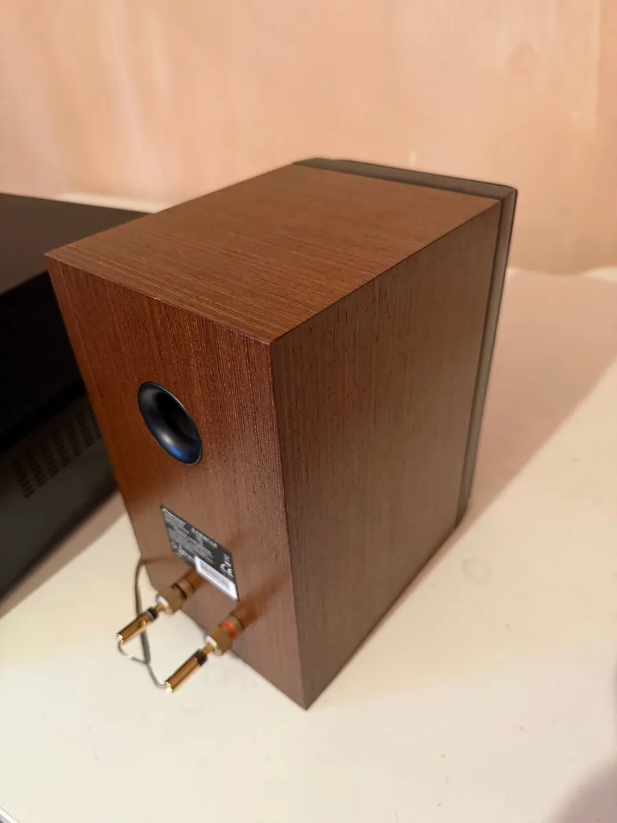 PIONEER Speakers by Andrew Jones - Image 3