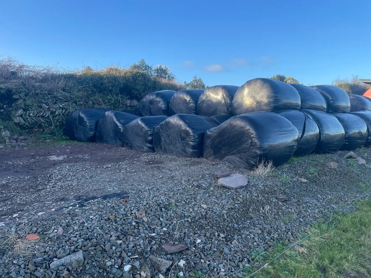 Silage bales