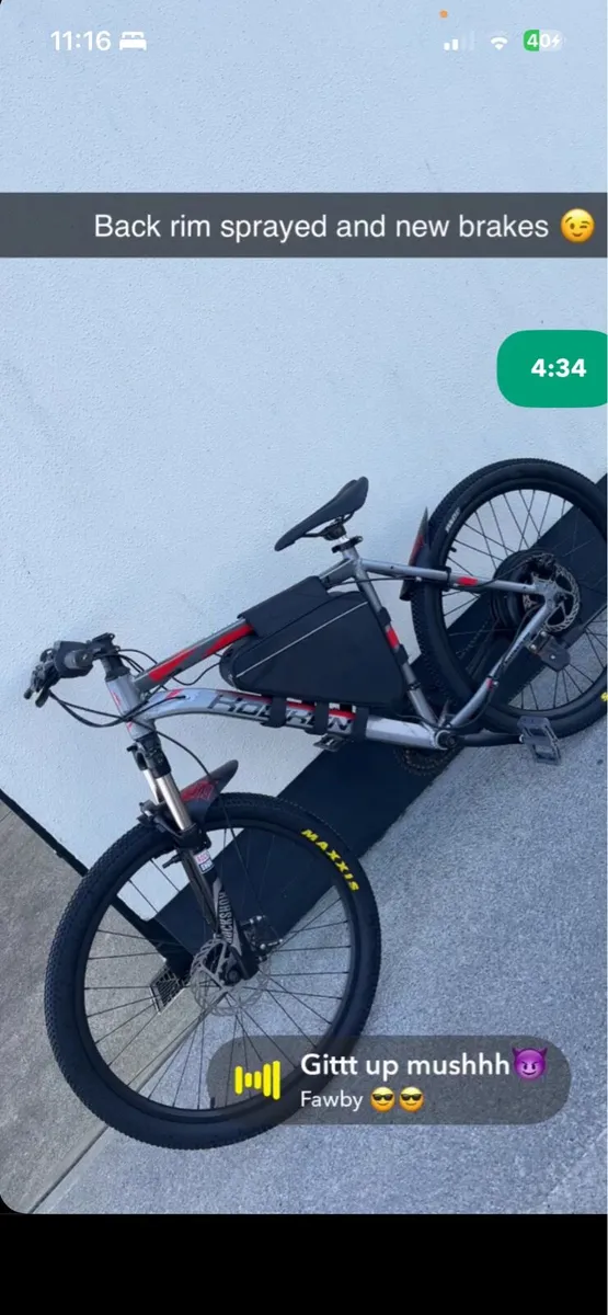 1500w e bike - Image 1
