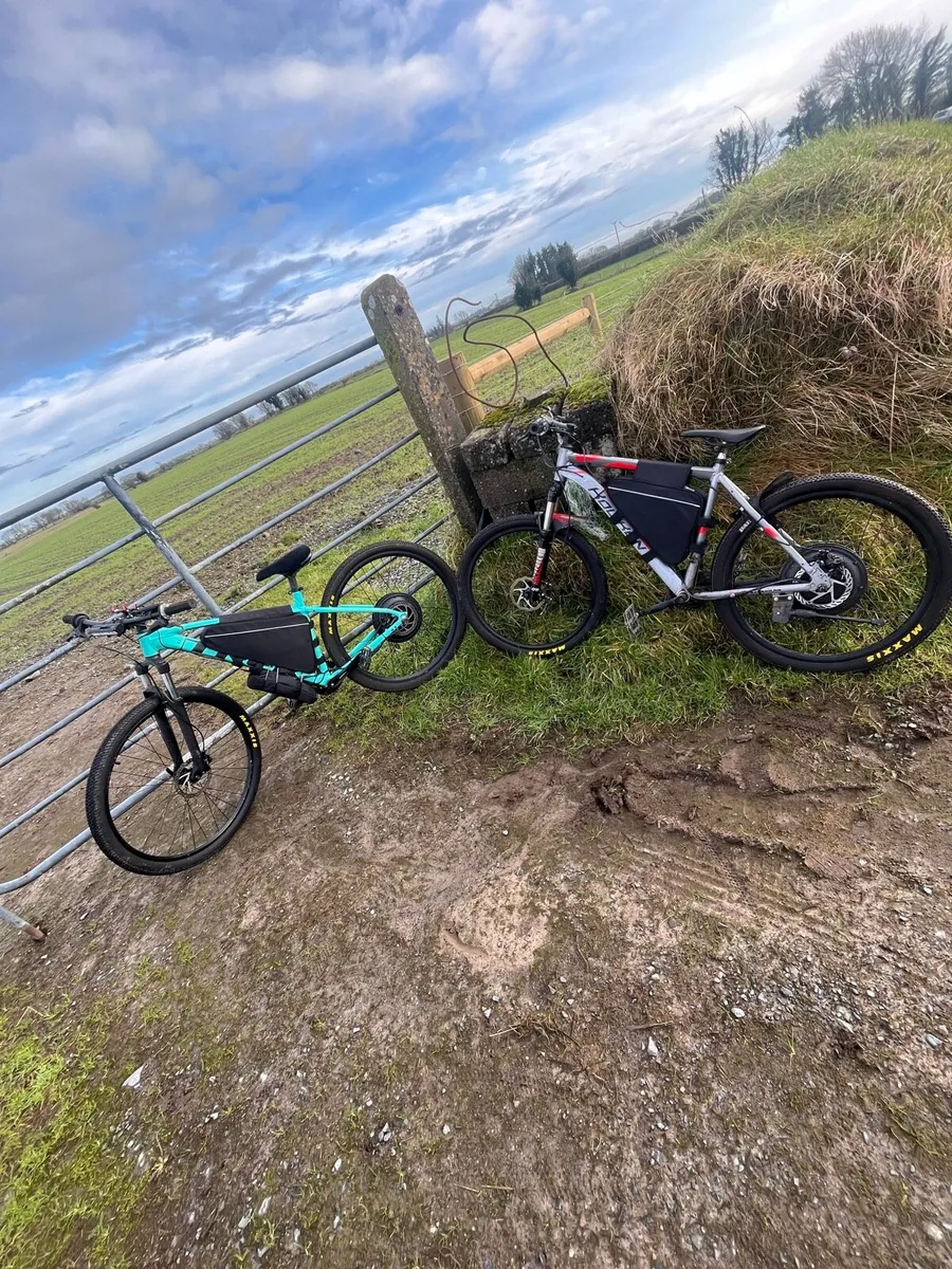 1500w e bike - Image 4