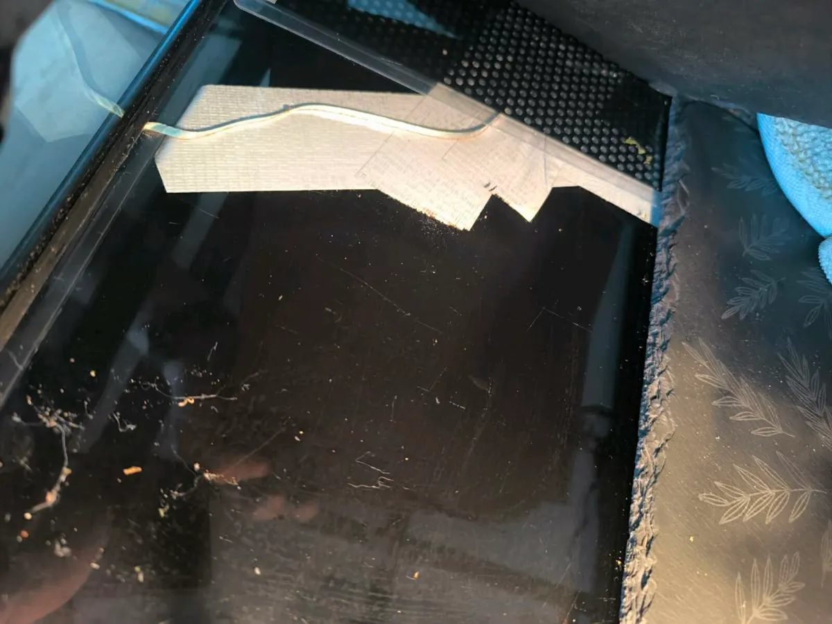 Bearded dragon + Exo Terra Tank - Image 4