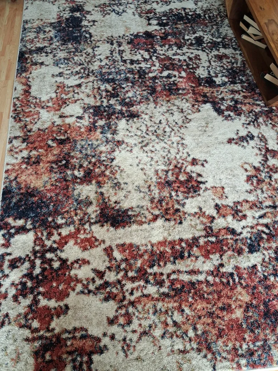 Large 200x290 new rug - Image 4