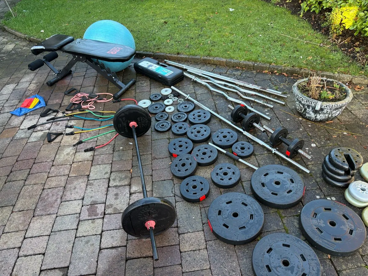 Weights / dumbbells / barbells / rack - Image 1