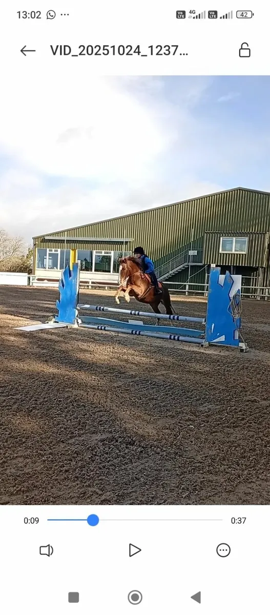 13.2. 8 year old - Image 4