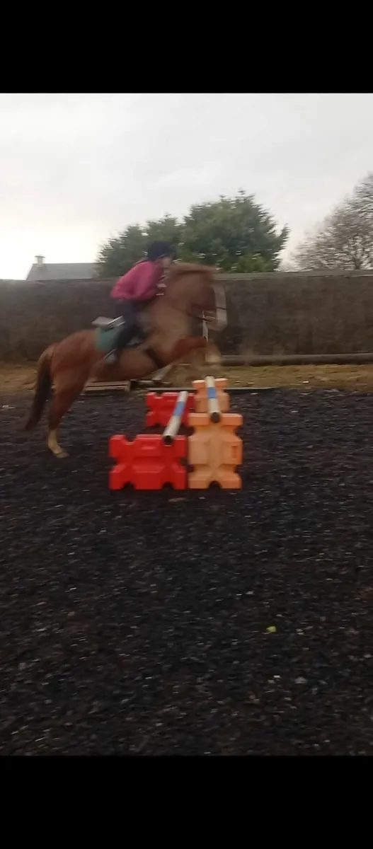 13.2. 8 year old - Image 2