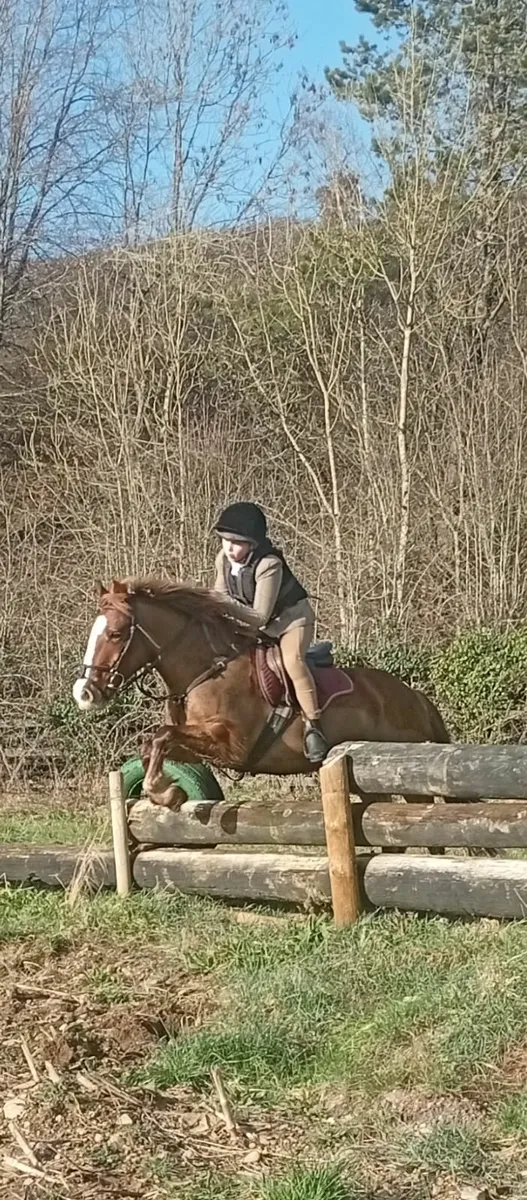 13.2. 8 year old - Image 3