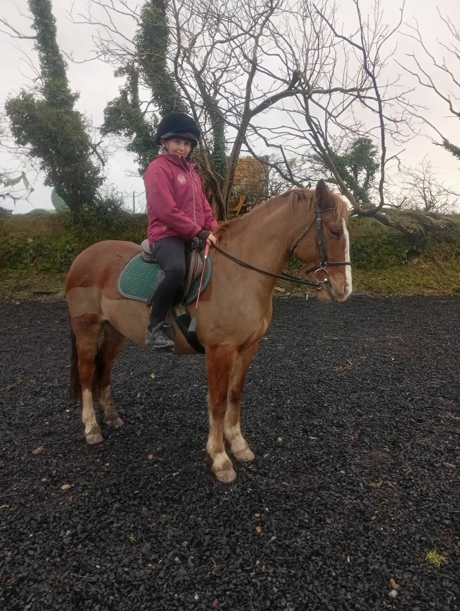 13.2. 8 year old - Image 1