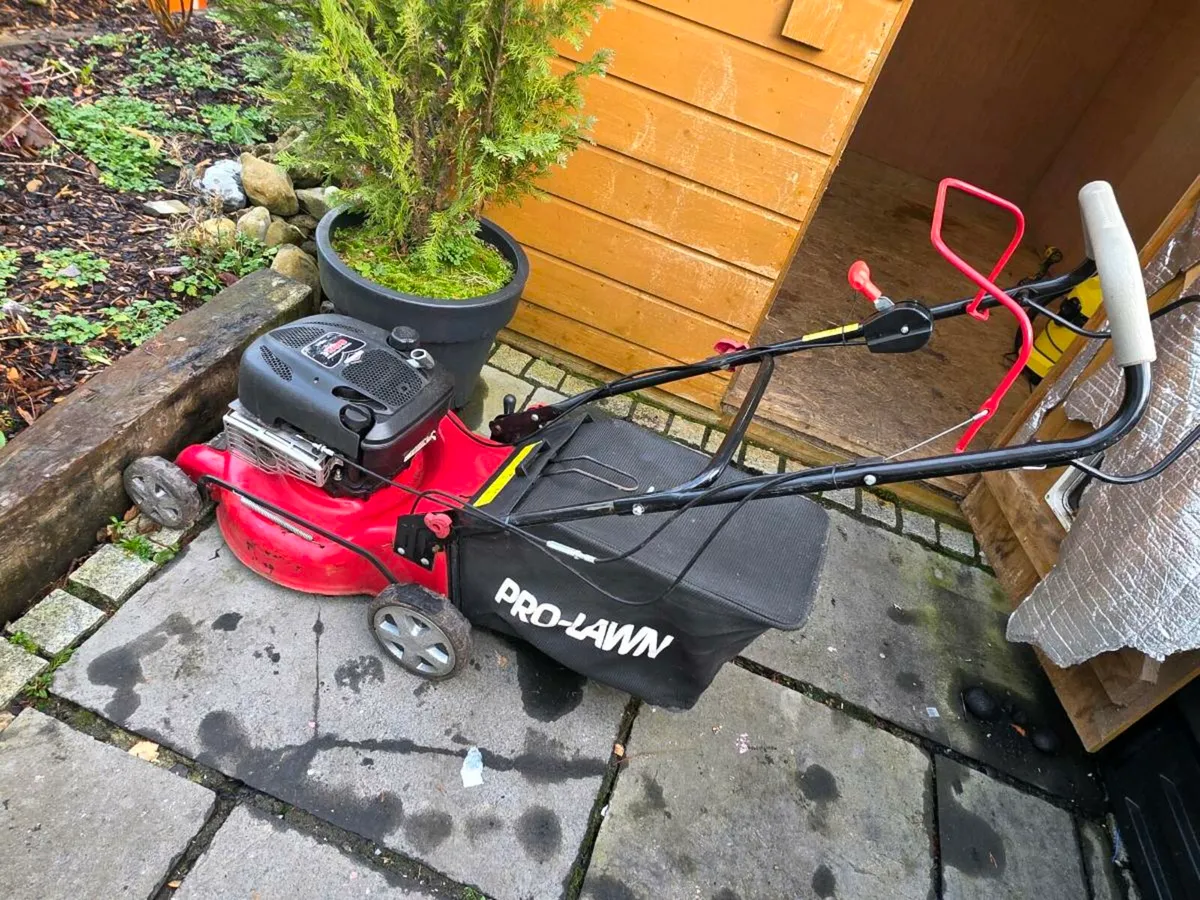Petrol Lawnmower - Image 1