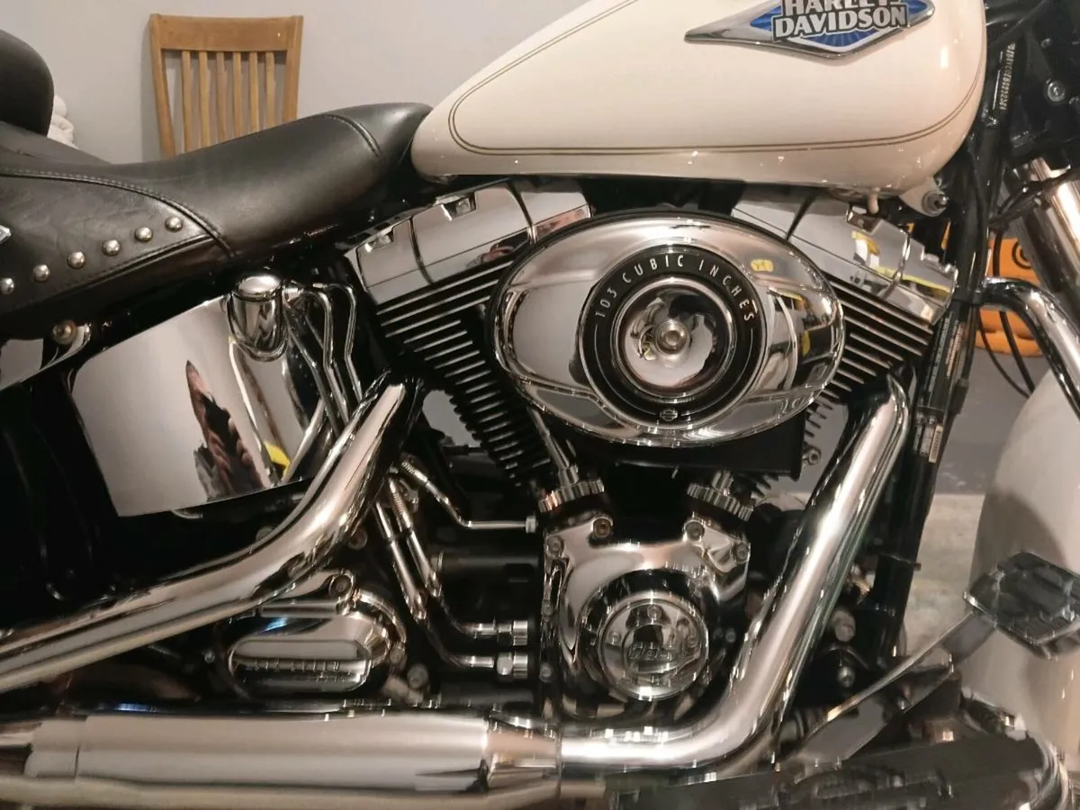 2014 HERITAGE SOFTAIL CLASSIC  103 - Image 3