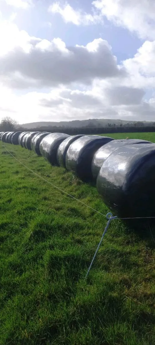 Round bales silage - Image 1