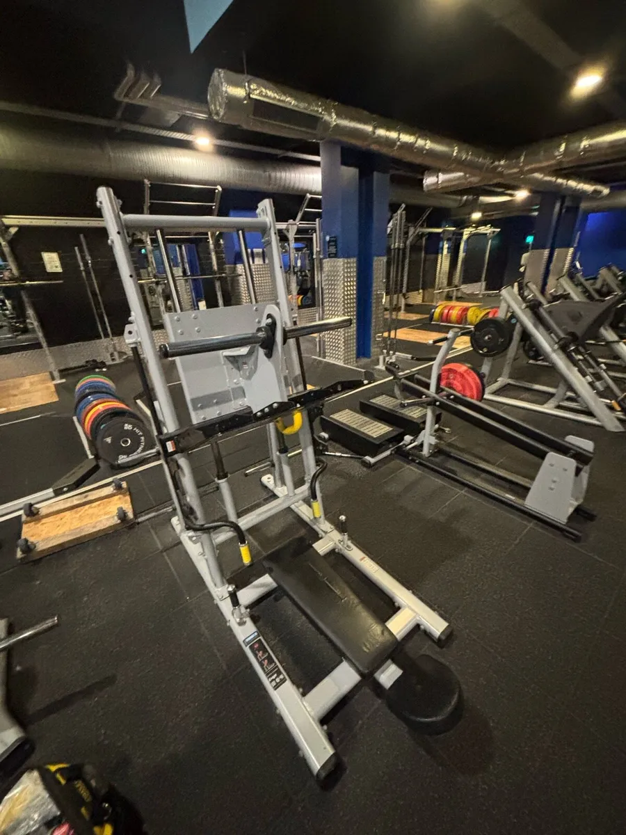 Exigo Vertical Leg Press - Image 2