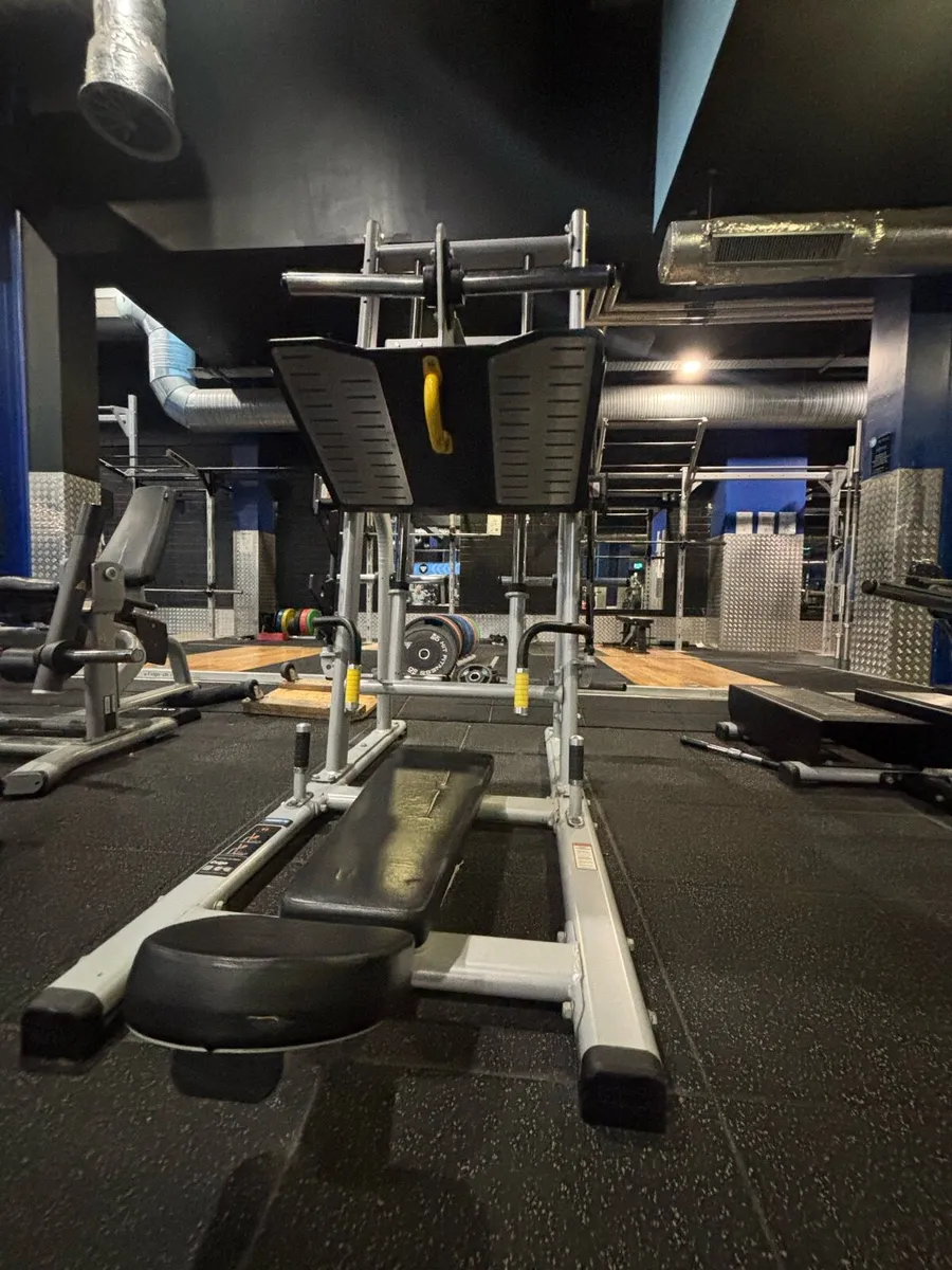 Exigo Vertical Leg Press - Image 3