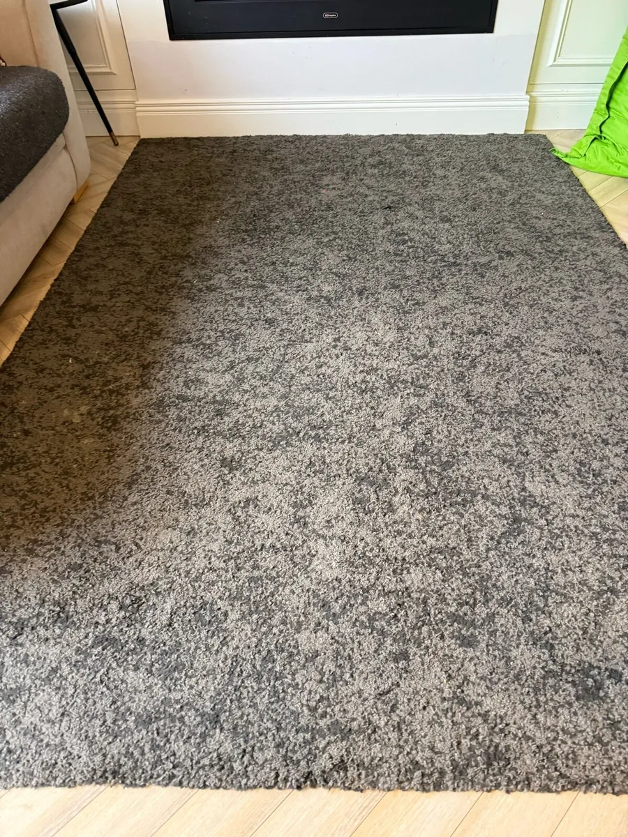 IKEA Rug 170x240 - Image 1