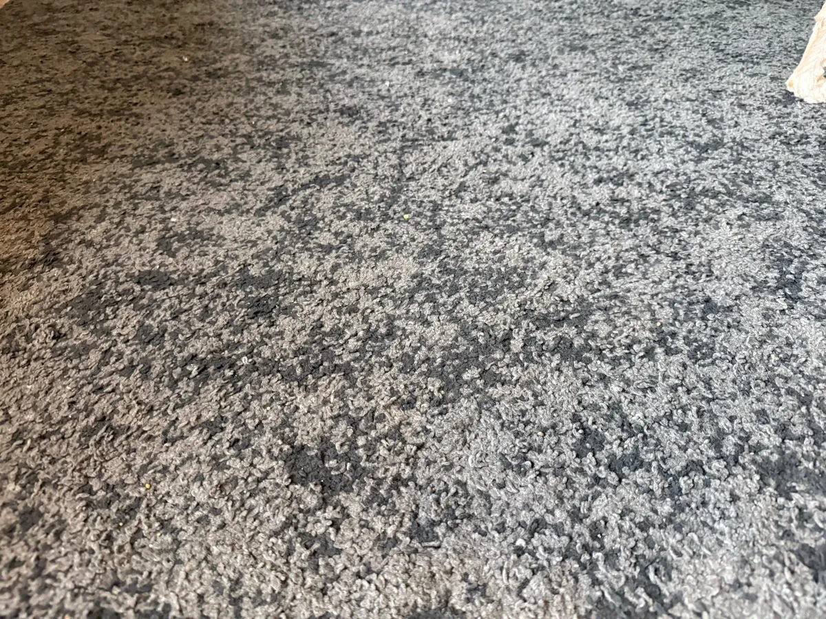 IKEA Rug 170x240 - Image 3