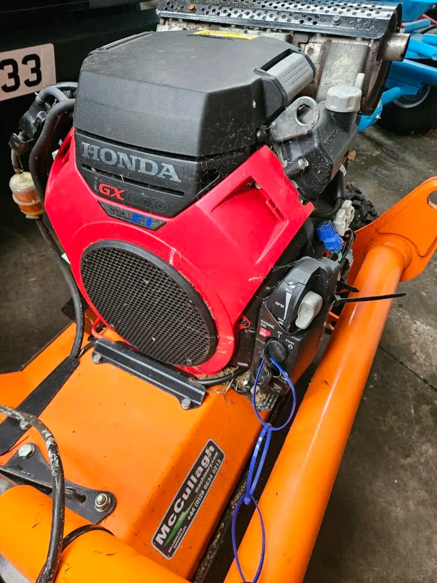 Chapman Flail Mower - Image 4