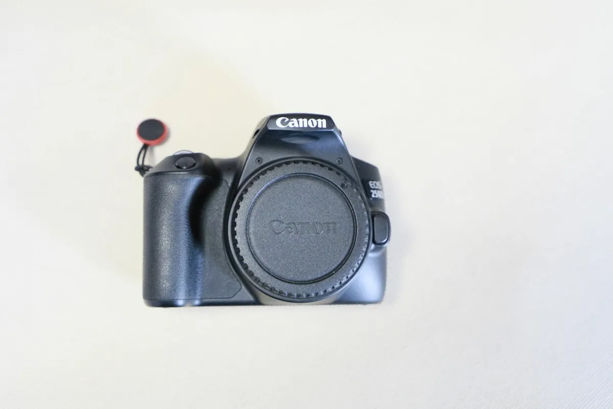 Canon EOS 250D DSLR + EF-S 10–18mm IS STM Wide-Ang - Image 2