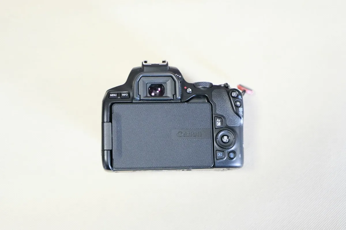 Canon EOS 250D DSLR + EF-S 10–18mm IS STM Wide-Ang - Image 3