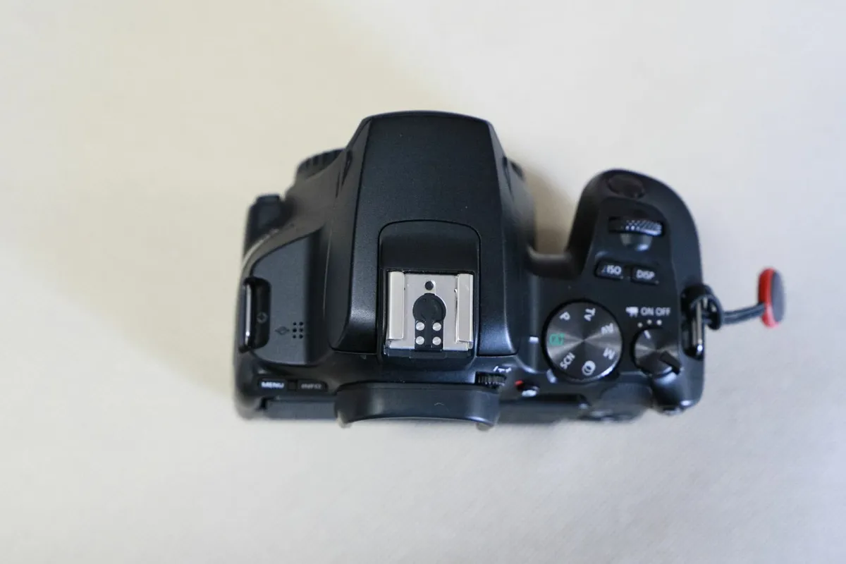 Canon EOS 250D DSLR + EF-S 10–18mm IS STM Wide-Ang - Image 4