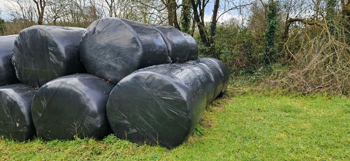 Silage Bales & Haylage - Image 2
