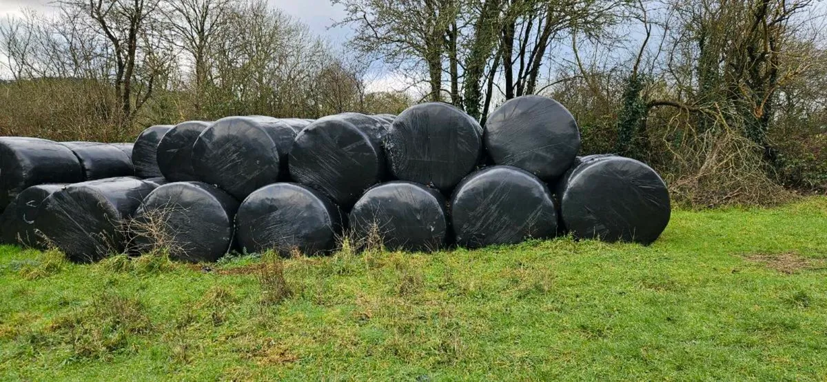 Silage Bales & Haylage - Image 1
