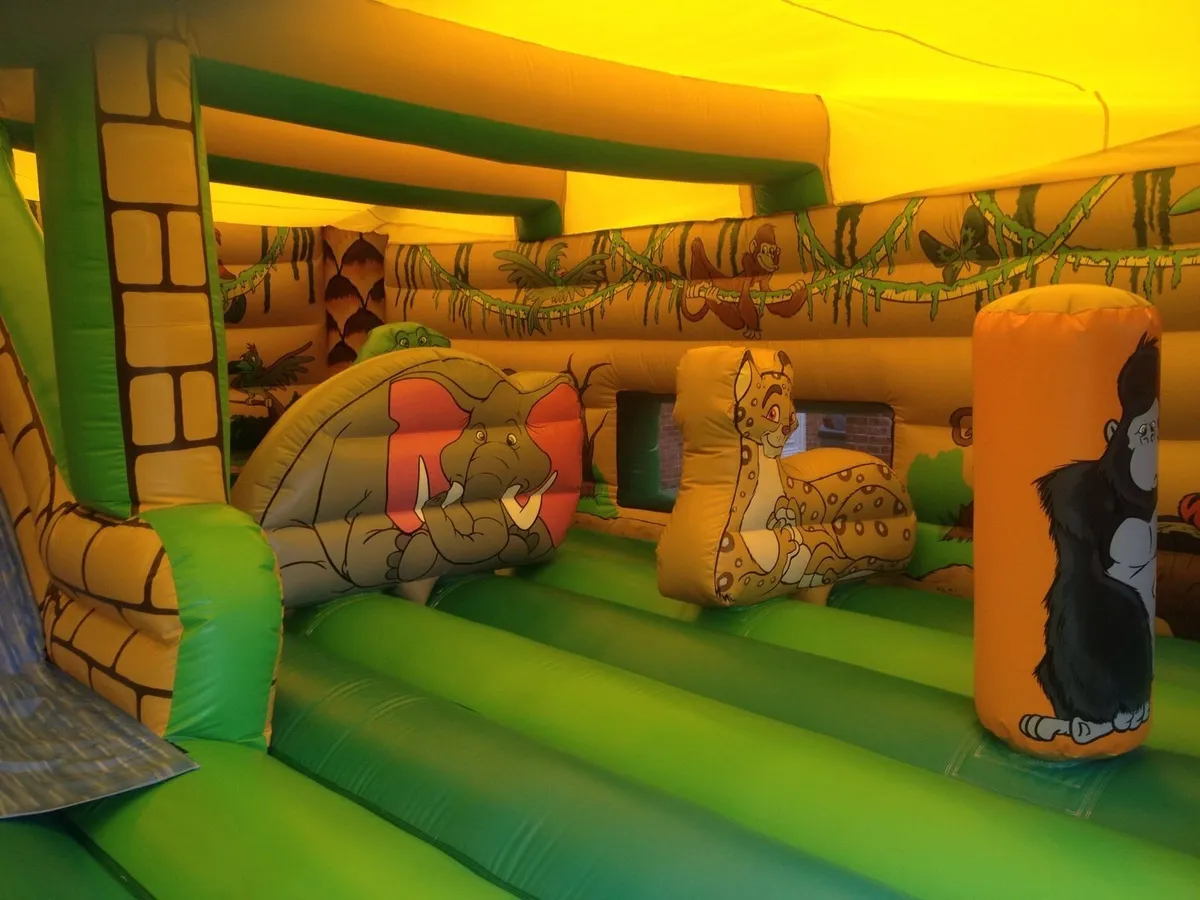 Bouncy Castle - Image 2