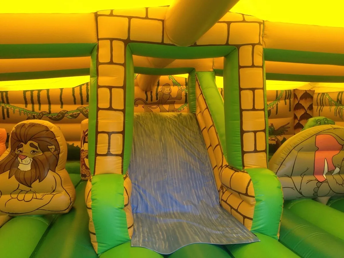 Bouncy Castle - Image 3