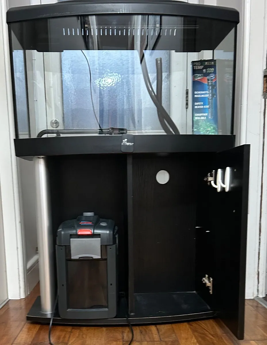 Fish Tank - Image 3