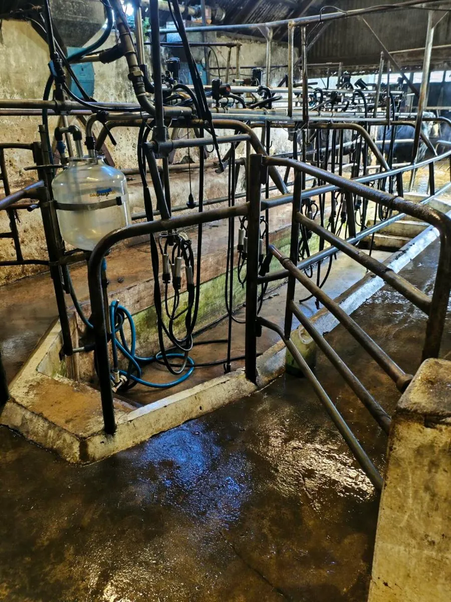 Milking parlour - Image 2