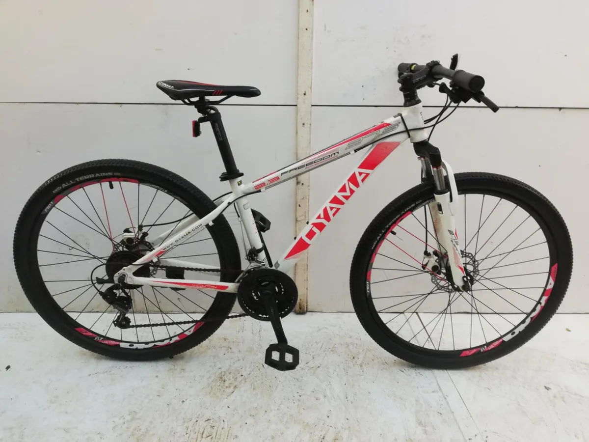 OYAMA BIKE - Image 1