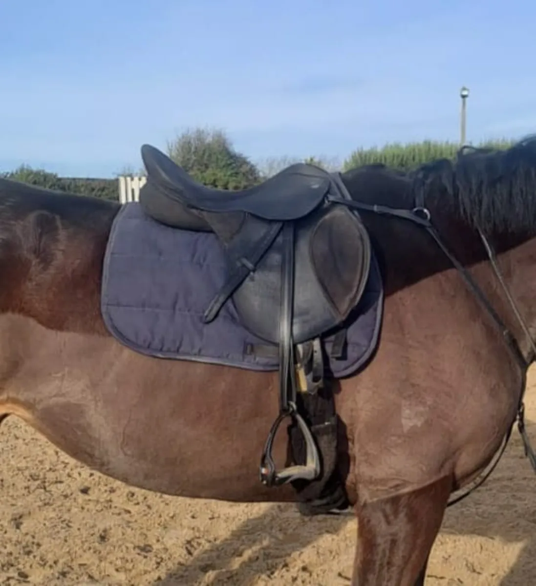 Thorowgood saddle suitable for high withered horse - Image 4