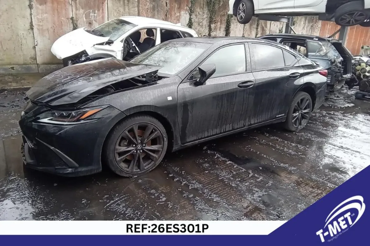 2019 LEXUS ES BREAKING FOR PARTS - Image 1