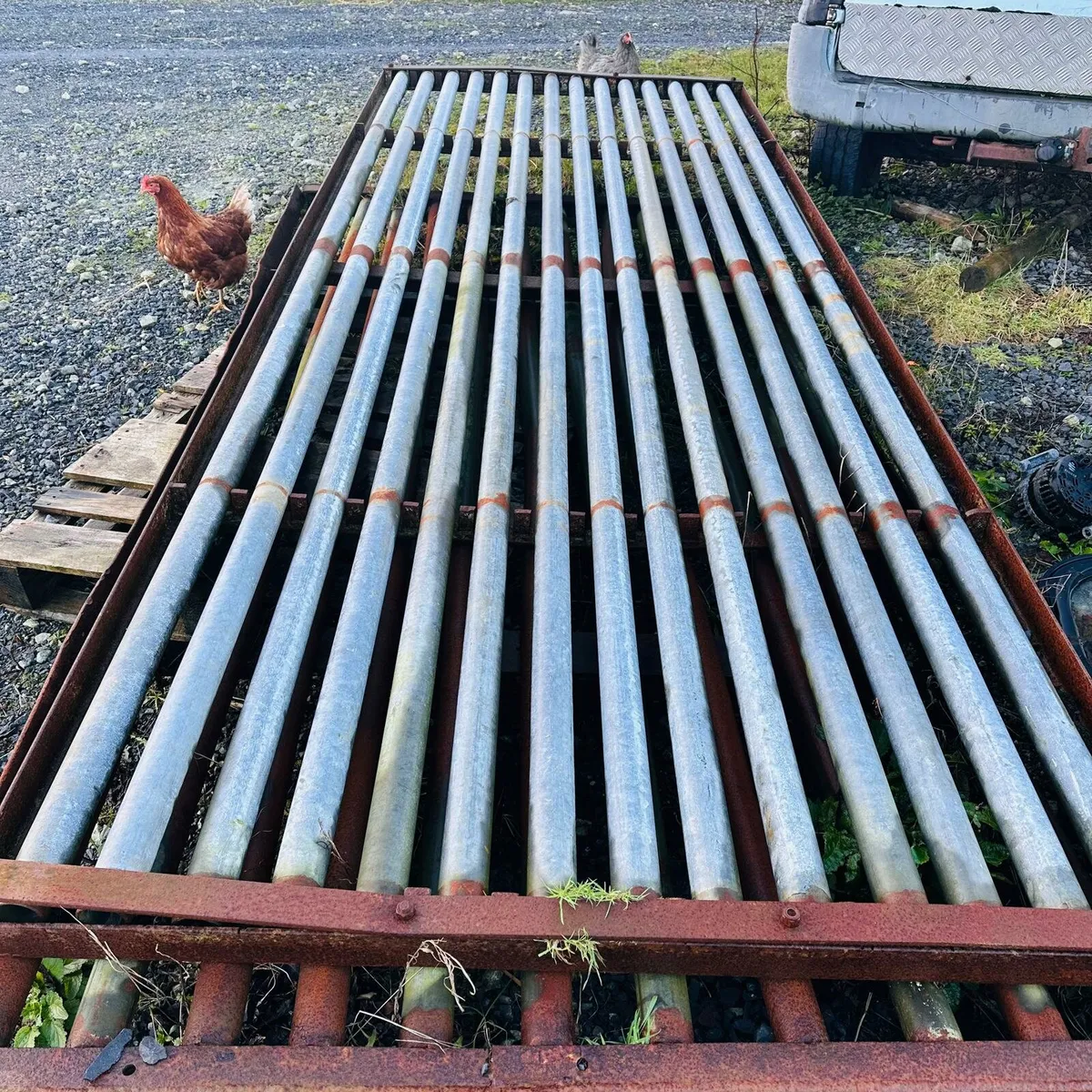 CATTLE GRID - Image 1