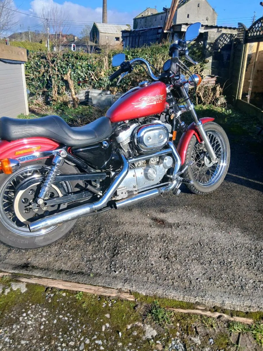 Harley Sportster 1200 and 883 - Image 4