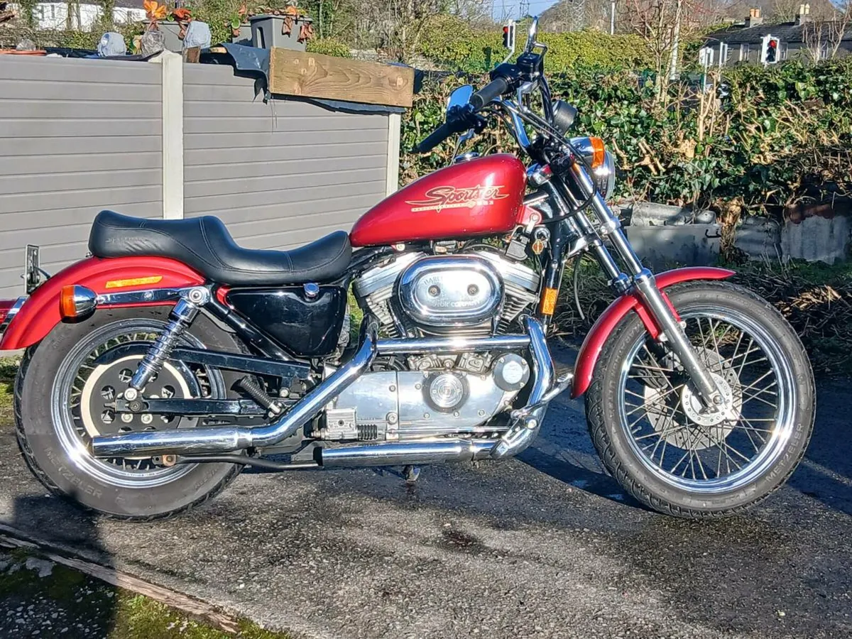 Harley Sportster 1200 and 883 - Image 1