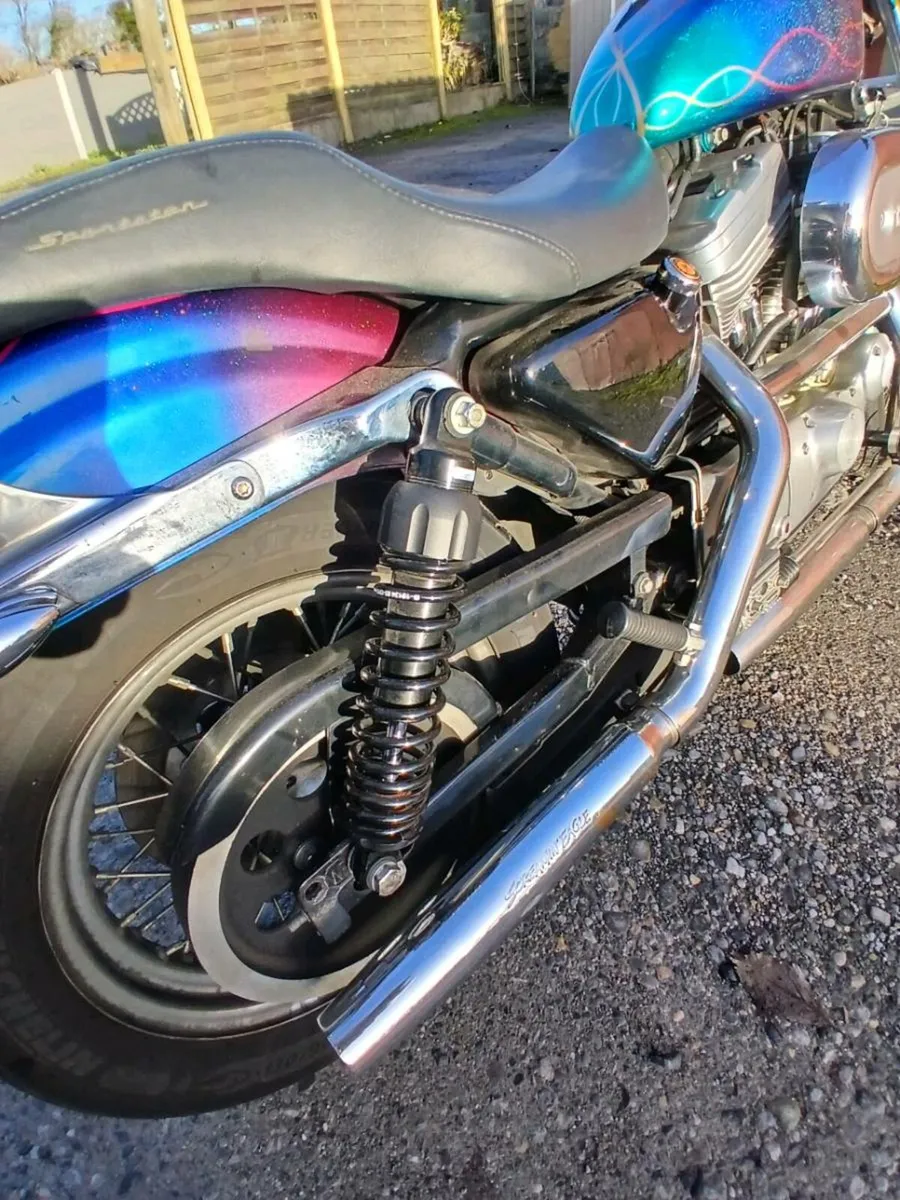 Harley Sportster 1200 and 883 - Image 3