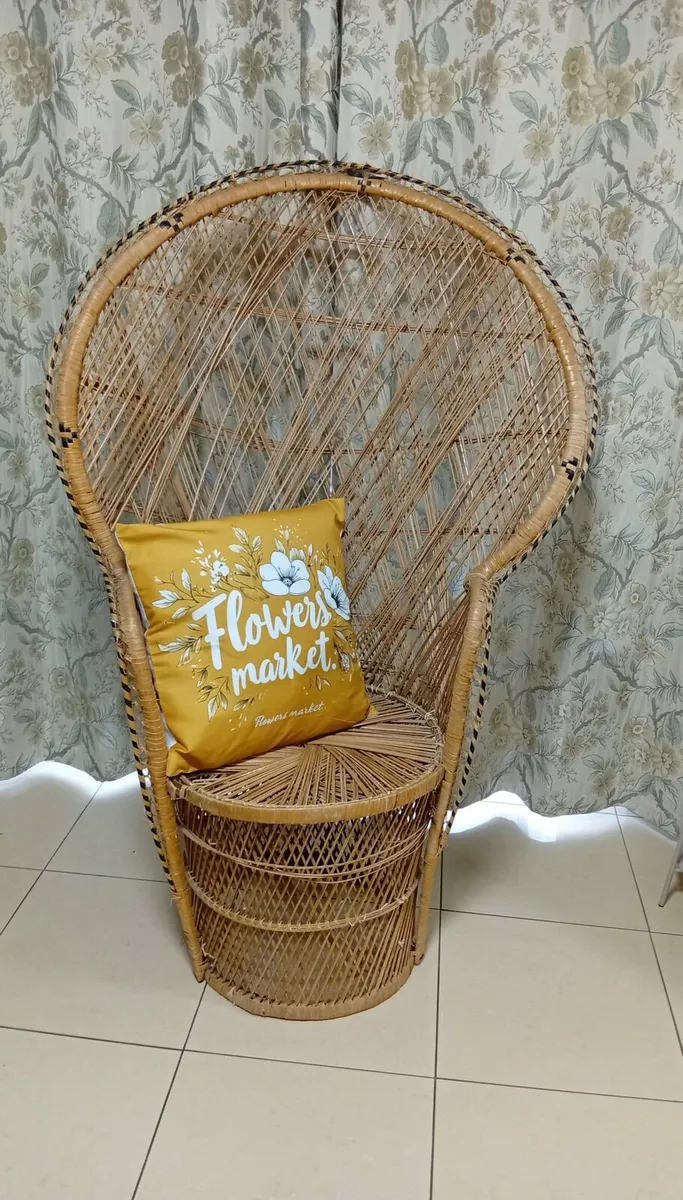 Peacock Chair - Image 1