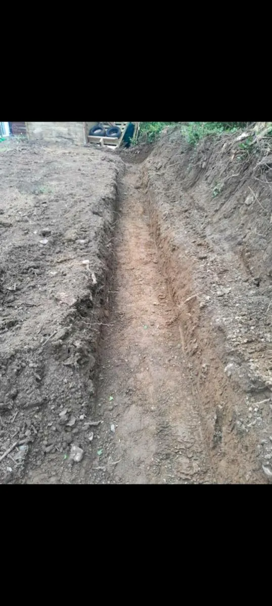 Mini digger and Tractor available - Image 4