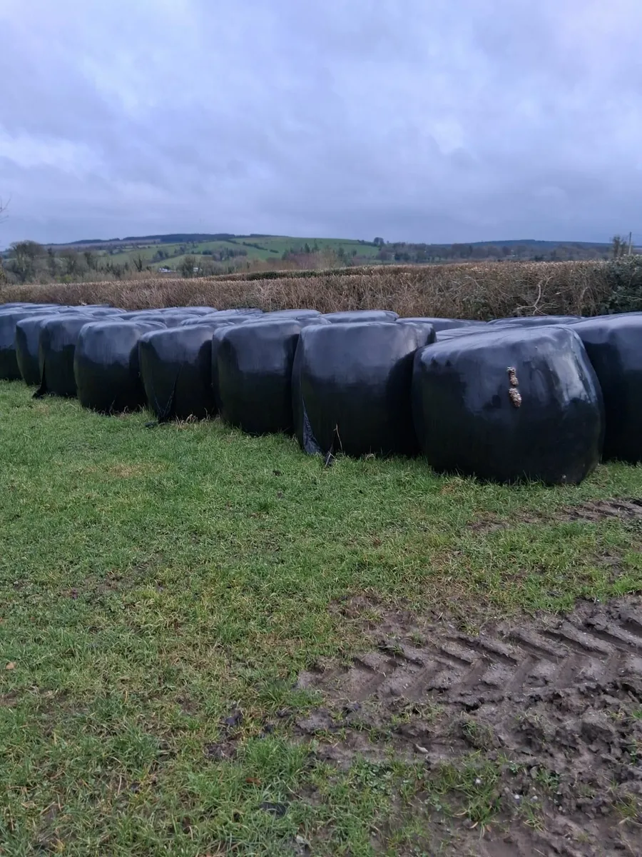 Silage Bales