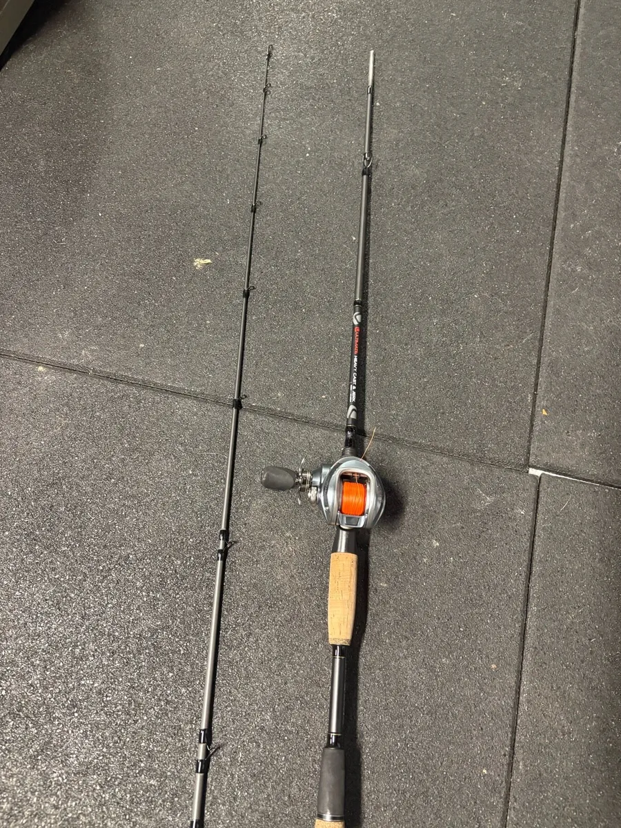 Fishing rod - Image 1