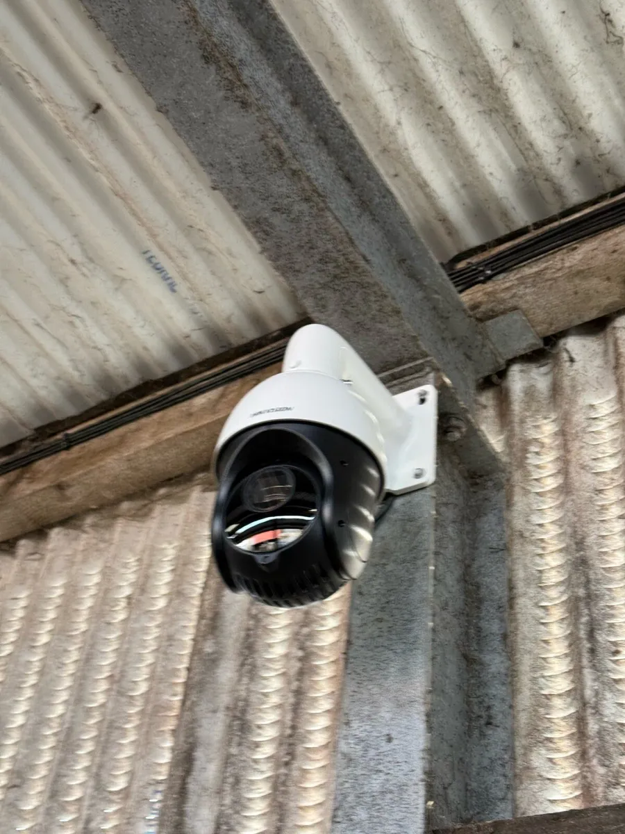 Livestock Cameras – Calving, Foaling & Lambing - Image 1