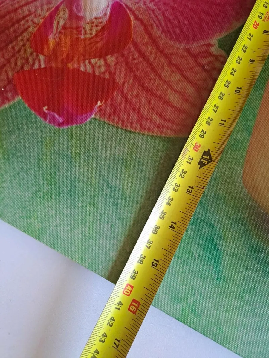 Orchid canvas - Image 4