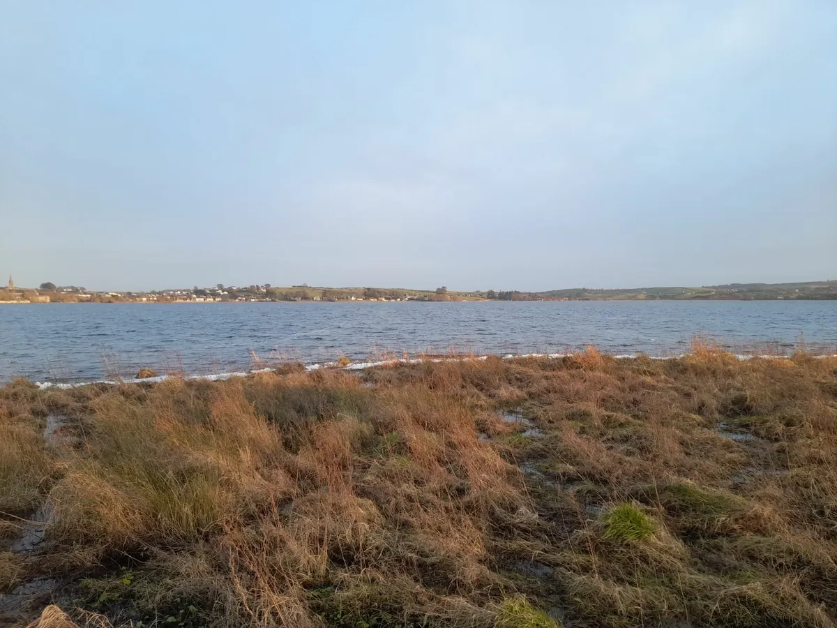 Microwave  looking for one