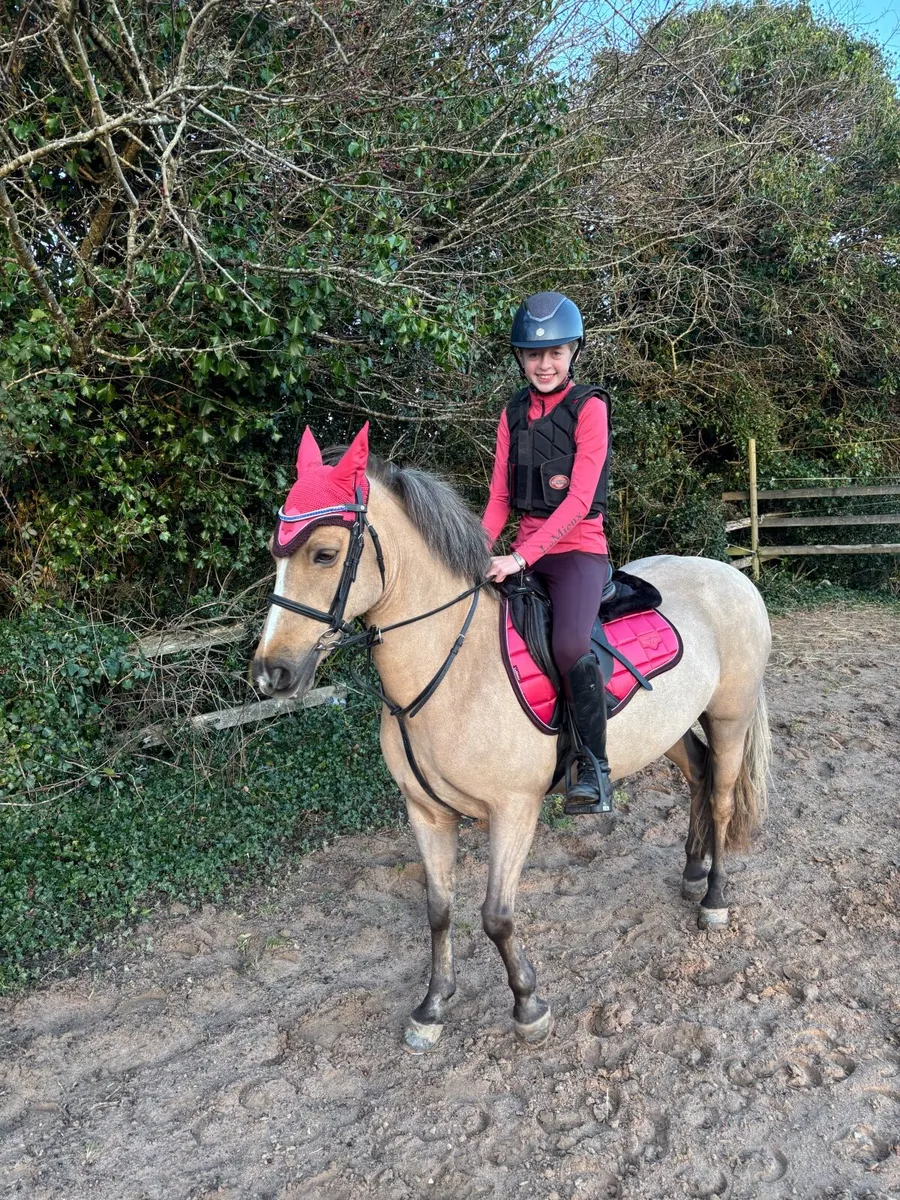 128 School Mistress. - Image 4