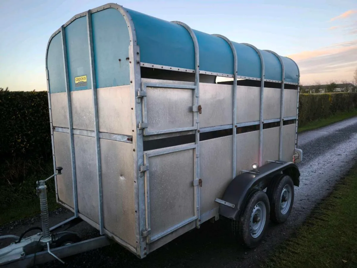 10x5'9 crooks cattle/ sheep trailer - Image 2