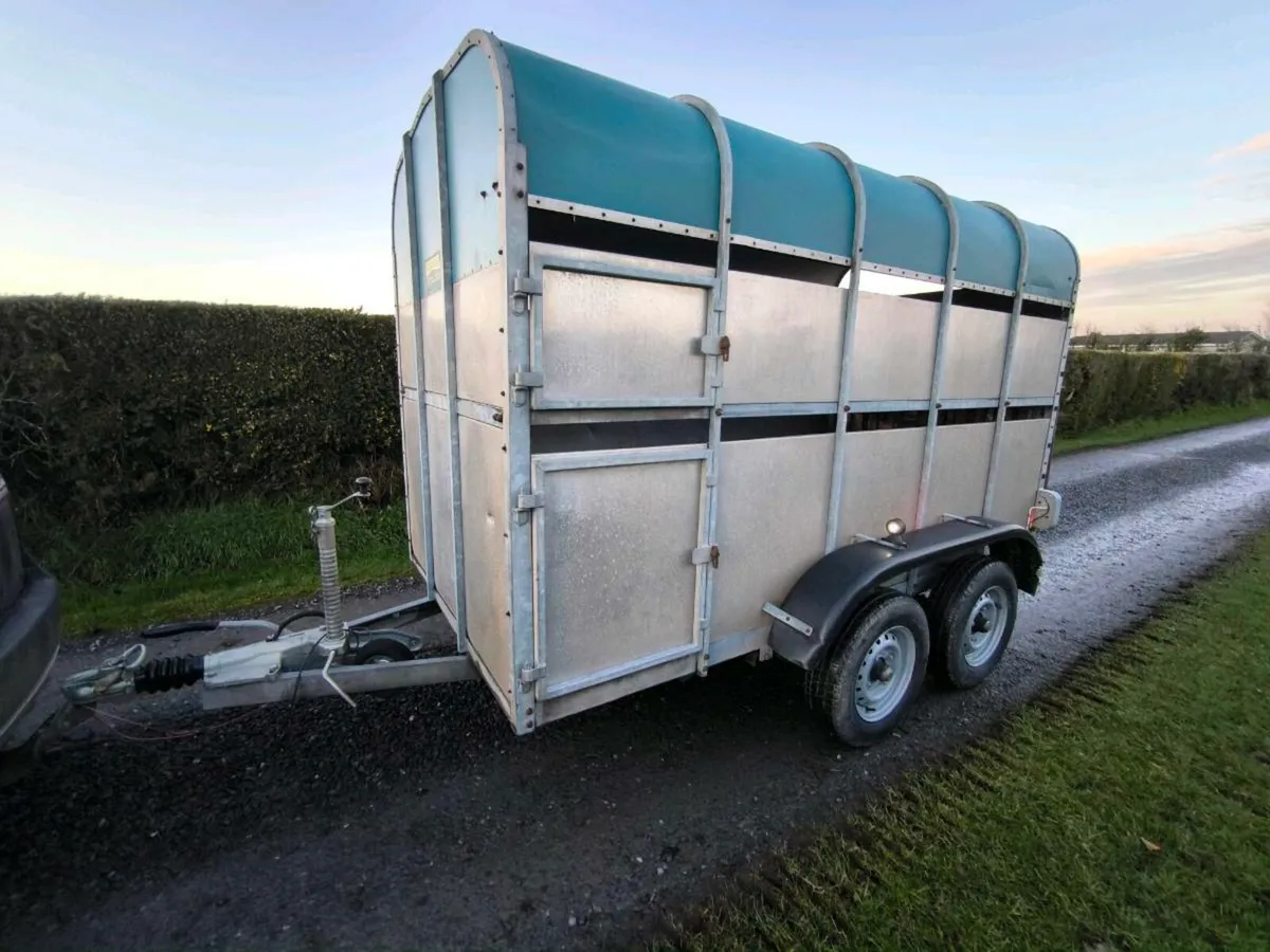 10x5'9 crooks cattle/ sheep trailer - Image 3