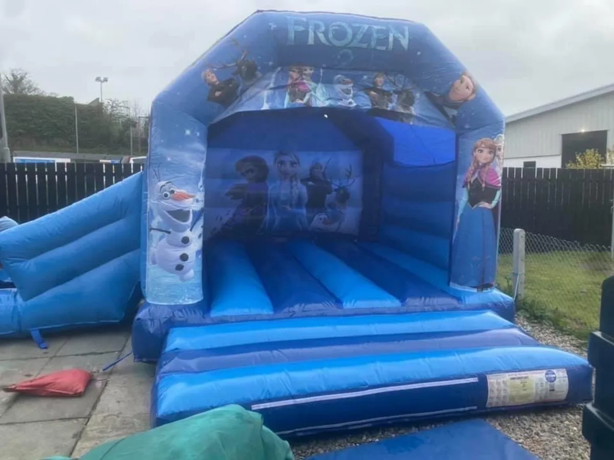 Bouncy Castles - Image 4