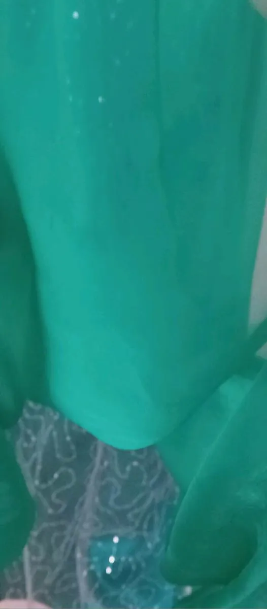 Prom Debs Dress - Image 4